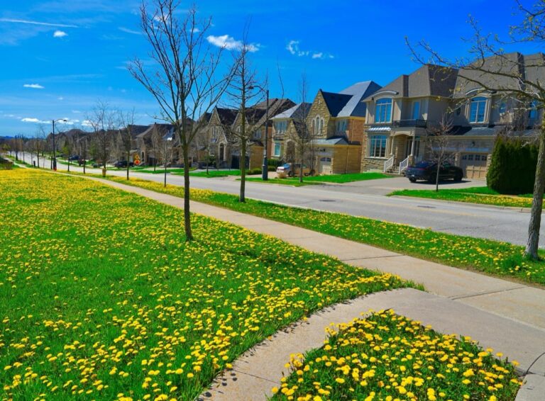 Should You Refinance Your Mortgage in Ontario? Should You Refinance Your Mortgage in Ontario?