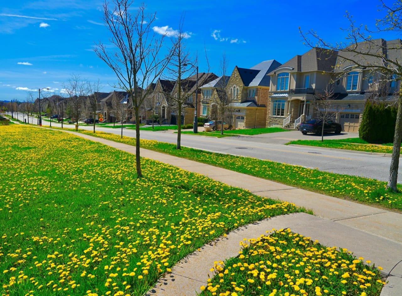 Should You Refinance Your Mortgage in Ontario?